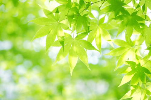 ϺҽԱִȾΣͲֱӱ